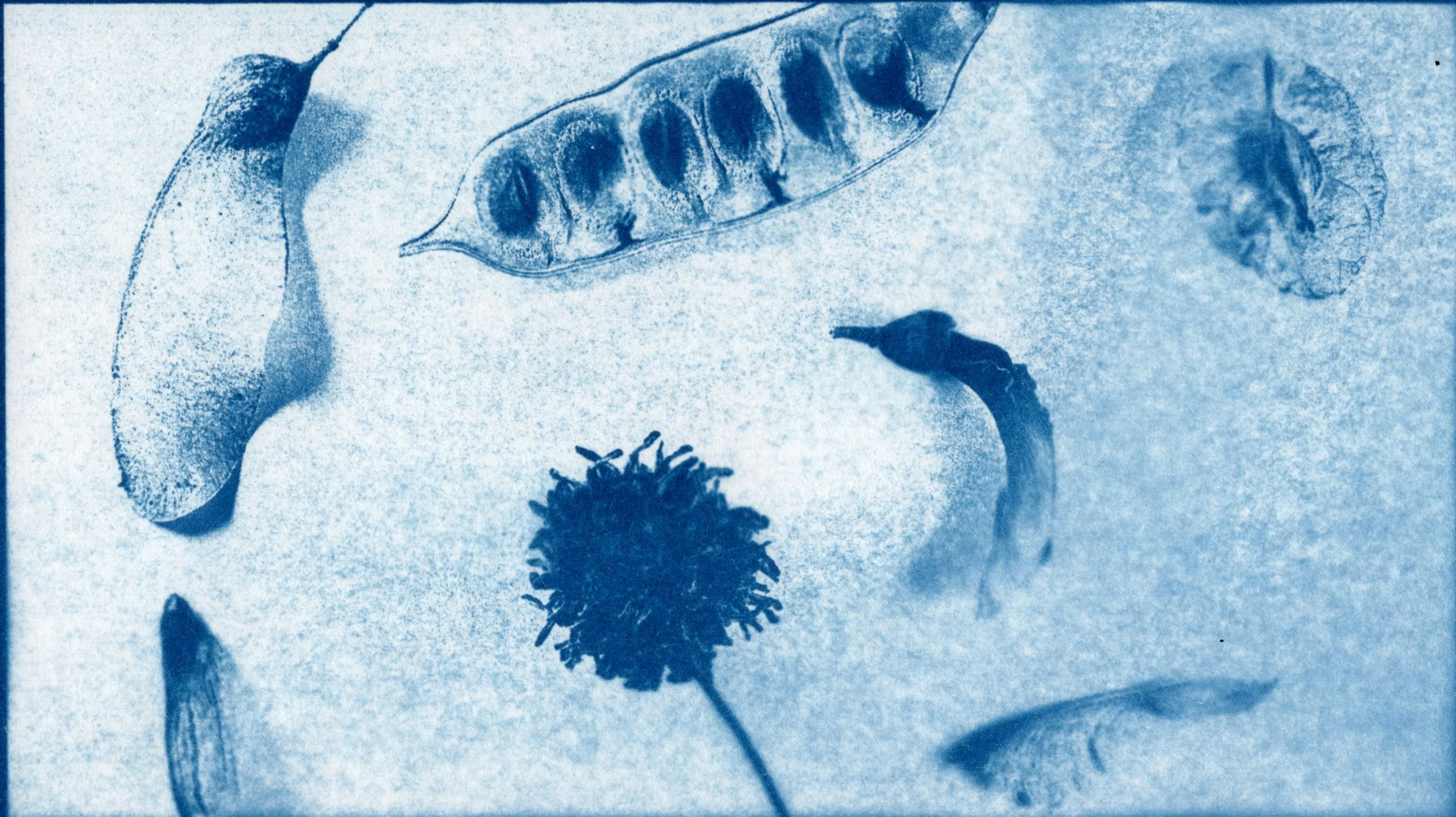 Immagine principale /assets/fiore-mio-main.webp
